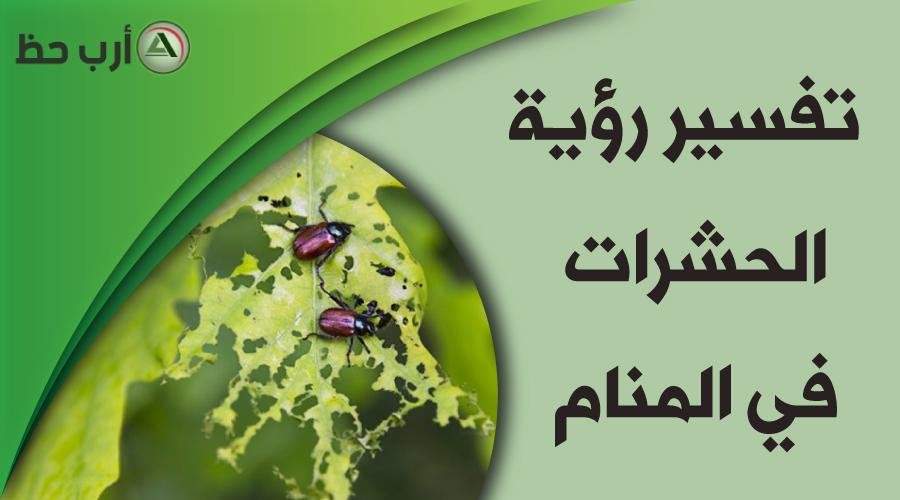 dream.jpg6732d9e12f54a - تفسير حلم الزواج من يزيد الراجحي للمتزوجه
