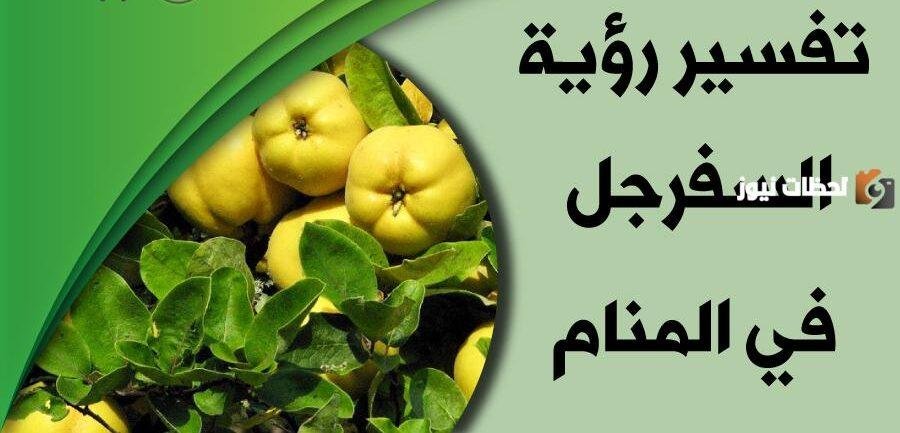 092774 - تفسير حلم السفرجل للعزباء