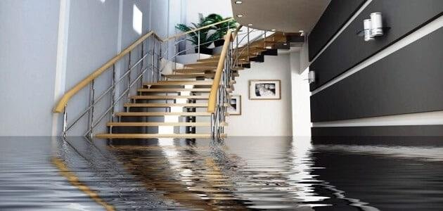 25AA 1 - تفسير حلم دخول المطر من الشباك للمتزوجة