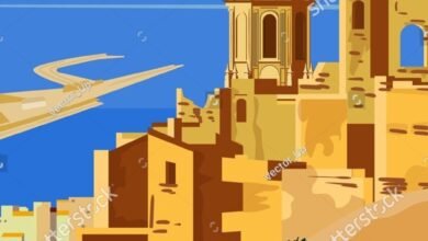 تفسير حلم ضب شنطة السفر للعزباء