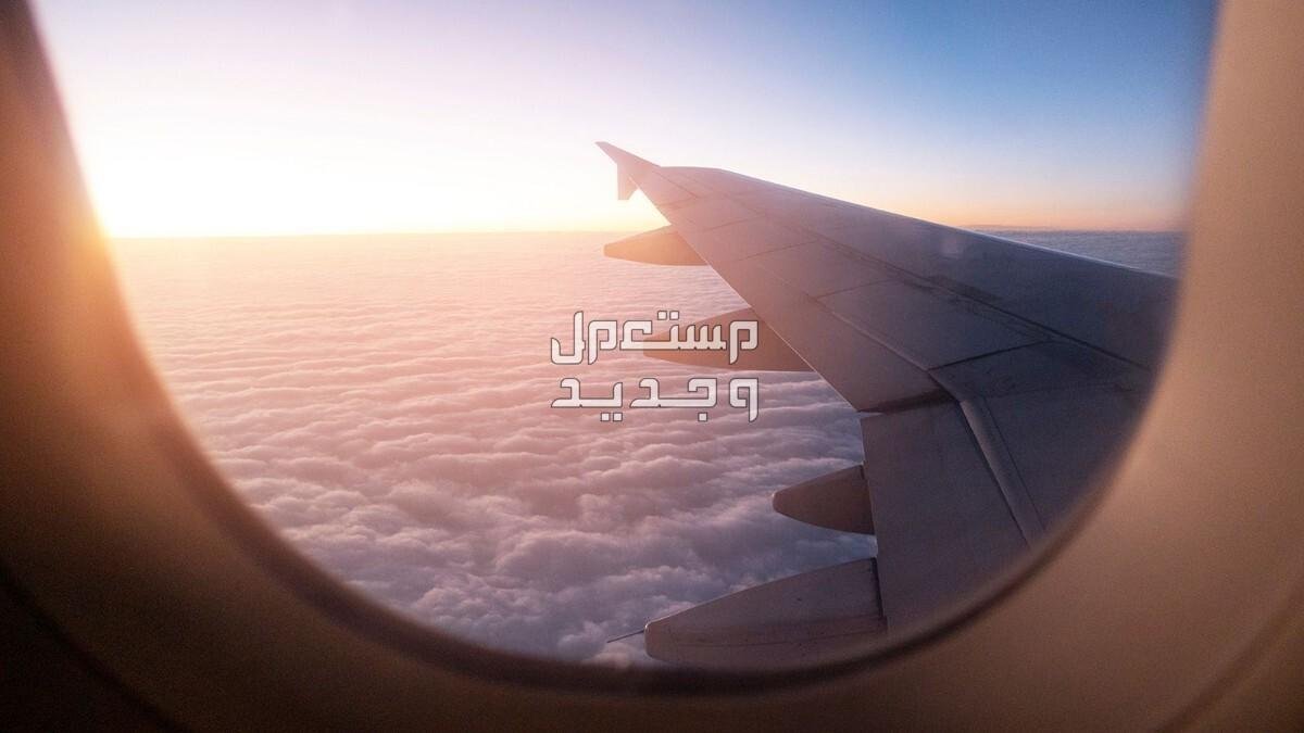 8 25A7.jpg672841b37b5a0 - تفسير حلم السفر الى سوريا