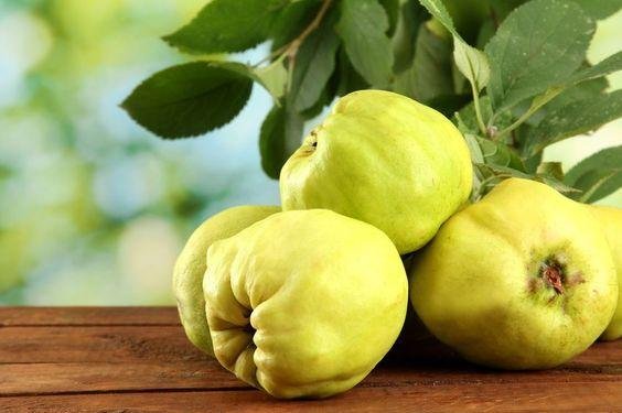 aa6d49 - تفسير حلم السفرجل للمتزوجة