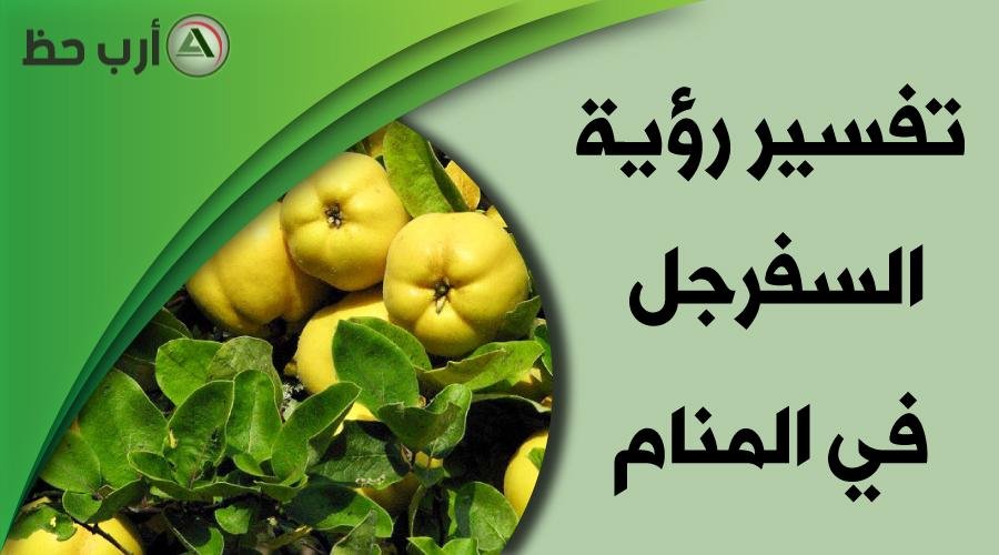 dream - تفسير حلم السفرجل