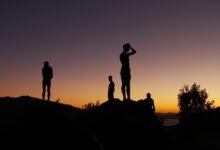 تفسير حلم حقيبة السفر السوداء للعزباء