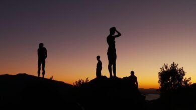 تفسير حلم حقيبة السفر السوداء للعزباء
